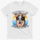 Australian Cattle Dog Blue Retro Property Of Cute Dog T-Shirt - White
