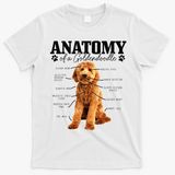 Anatomy Of A Goldendoodle Funny Cute Dog Doodle Mom Dad Gift T-Shirt - White