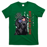 Best Lab Dad Ever Labrador Dog American Flag Fathers Day T-Shirt - Irish Green