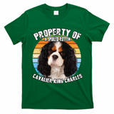 Cavalier King Charles Tri Owner Lover Retro Vintage Cute Dog T-Shirt - Irish Green