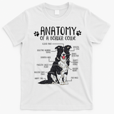 Funny Anatomy Border Collie Dog Lover Gift T-Shirt - White