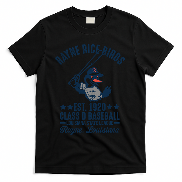Rayne Rice Birds Louisiana Vintage Baseball Team Tribute T-Shirt - Black